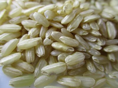f_a-rice-2351272_1920
