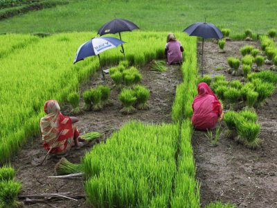 fotomatik-bangladesh-3543464_1920
