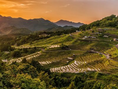 kanenori-rice-terraces-2389023_1920 (1)