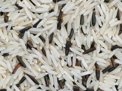 pictavio-rice-5236375_1920