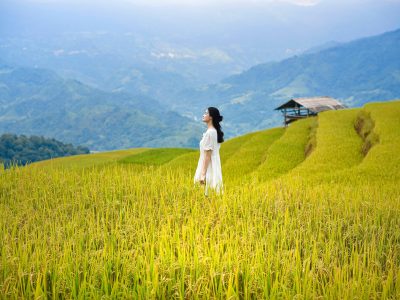 thanhvu68-vietnam-8047523_1920